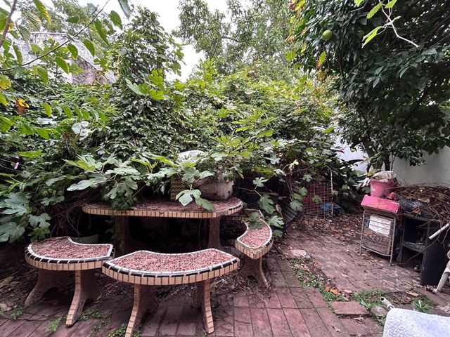 place photo 35