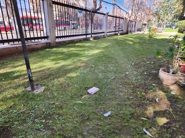 place photo 38