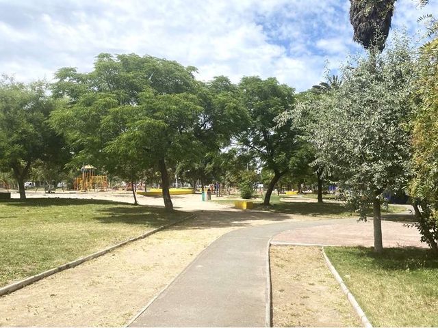 place photo 19