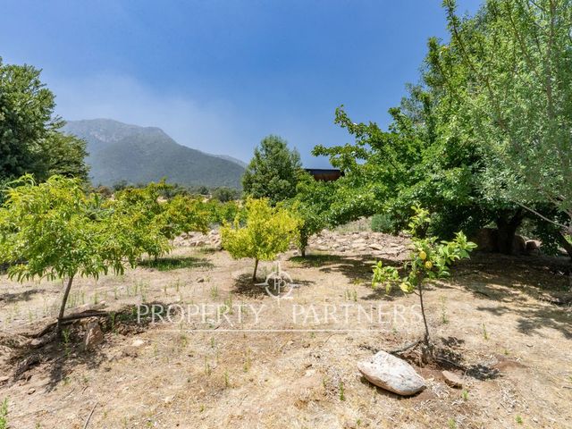 place photo 49