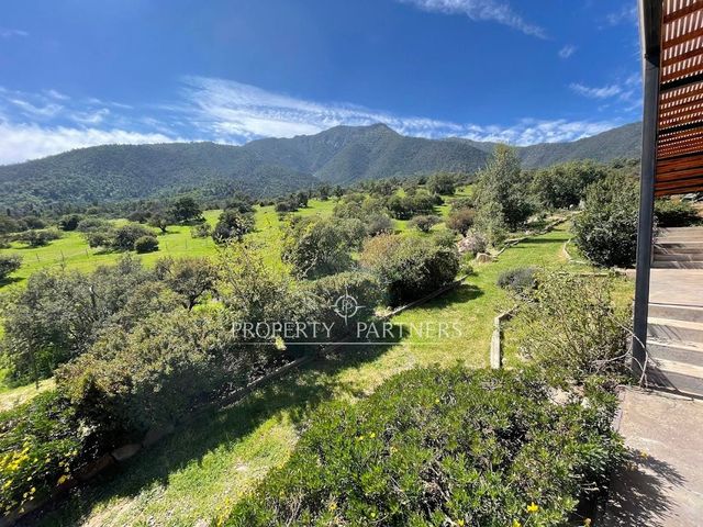 place photo 46