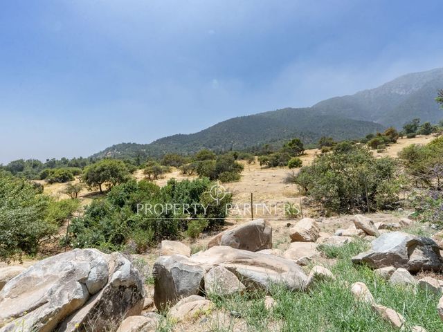 place photo 51