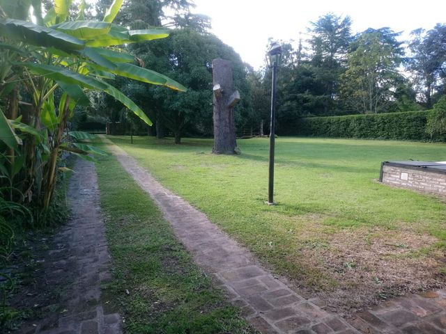 place photo 23