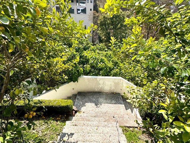 place photo 40