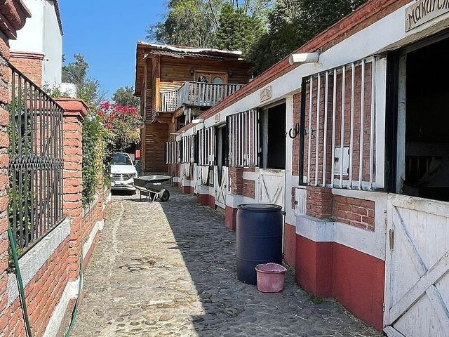 place photo 35