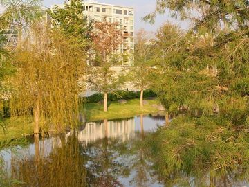 place photo 15