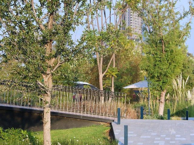 place photo 33