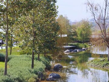 place photo 28