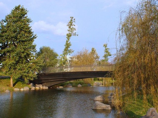 place photo 26