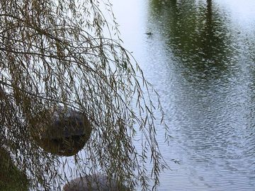 place photo 23