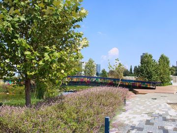 place photo 22