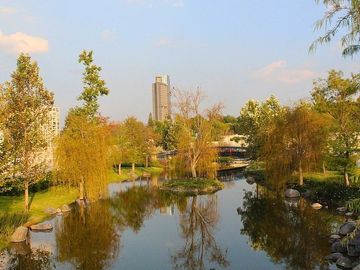 place photo 34