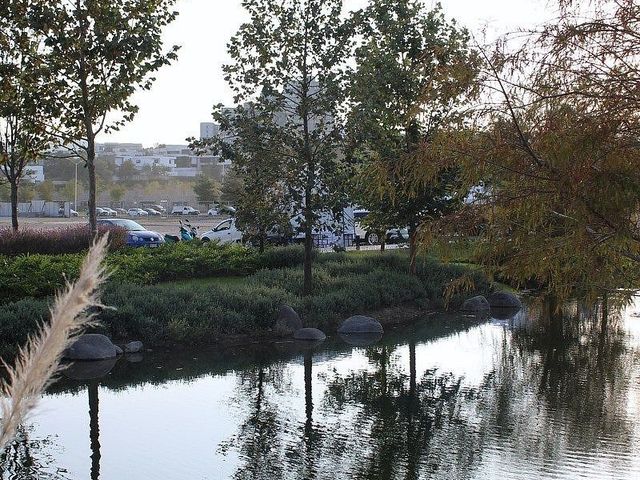 place photo 35