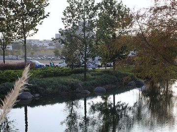 place photo 35