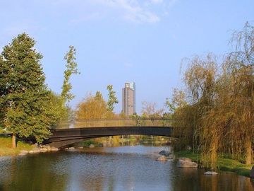 place photo 29