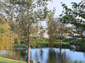 place photo 32