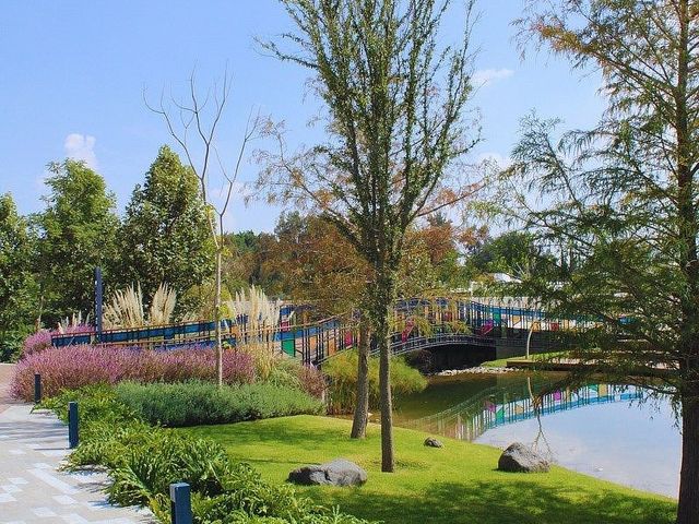 place photo 39