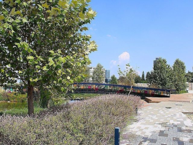 place photo 22