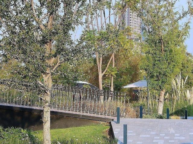 place photo 33