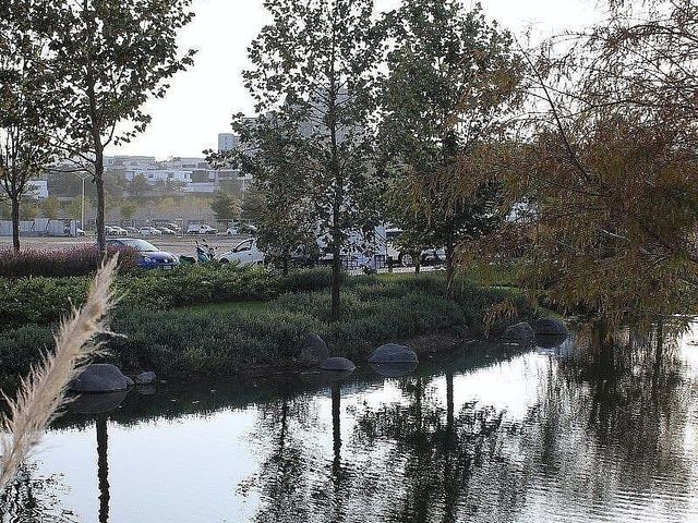 place photo 35