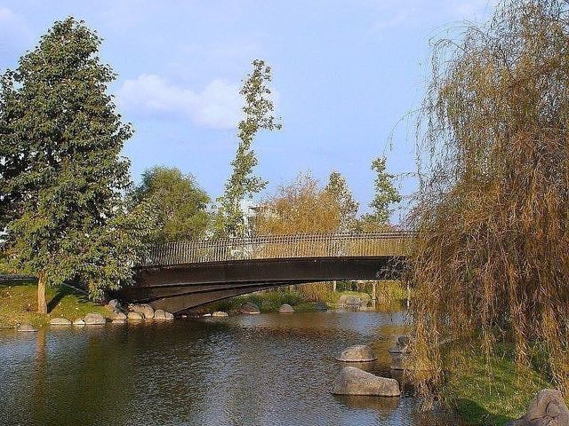 place photo 26