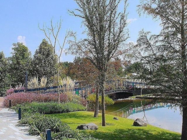 place photo 39