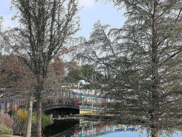 place photo 44