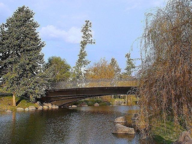 place photo 26