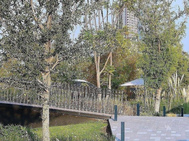 place photo 33