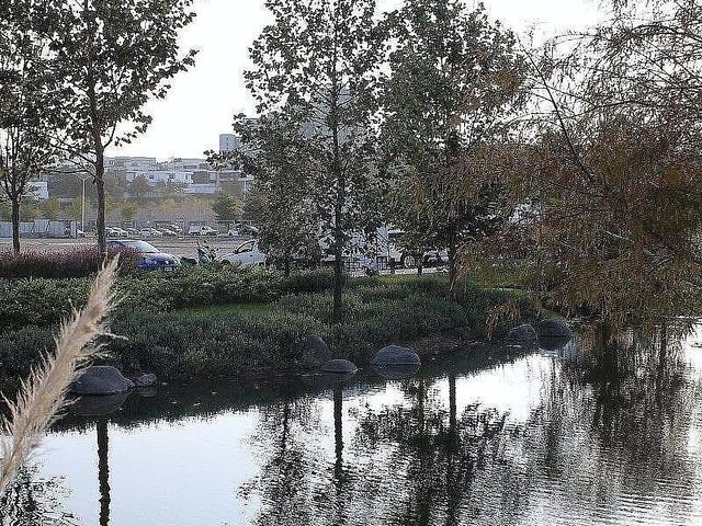 place photo 35