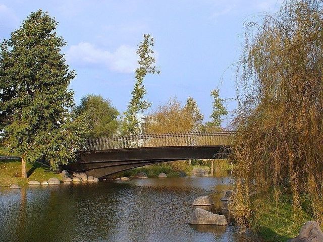 place photo 26