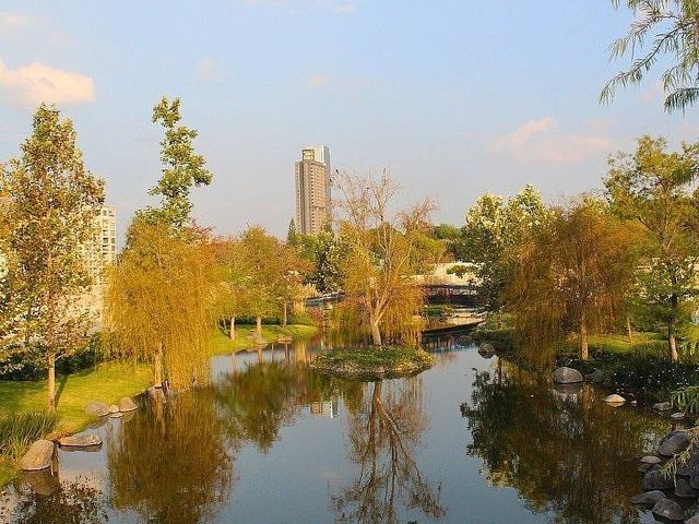 place photo 34