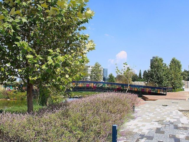 place photo 22