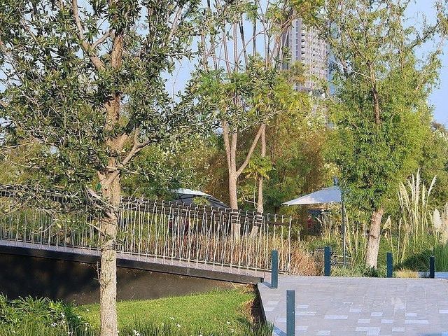 place photo 33