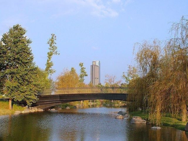 place photo 29