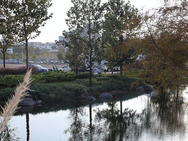place photo 35