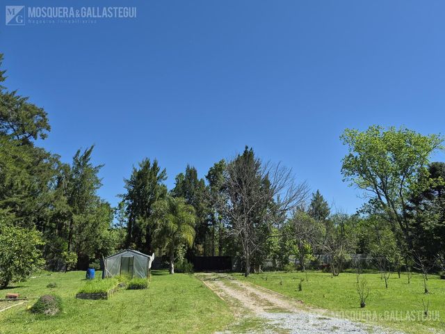 place photo 78