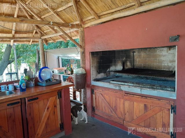 place photo 30
