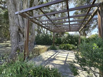place photo 22