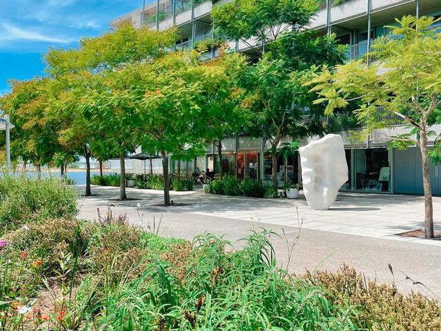 place photo 15