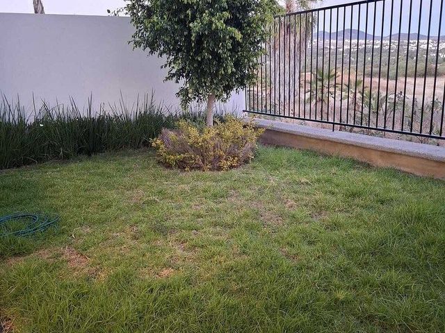 place photo 38