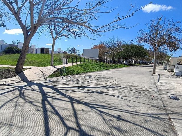 place photo 13