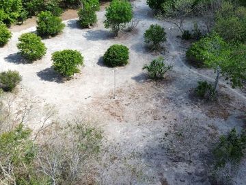 place photo 48