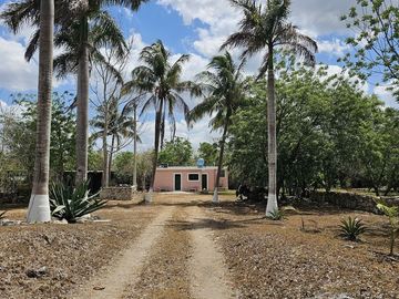 place photo 32