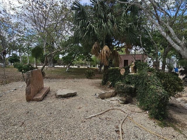 place photo 17