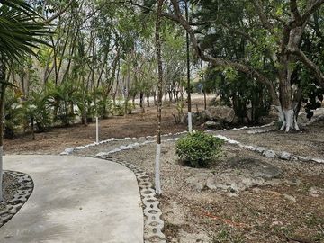 place photo 35