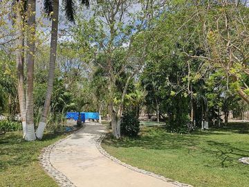 place photo 37