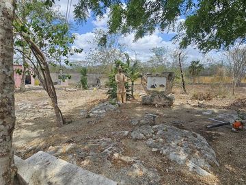 place photo 23