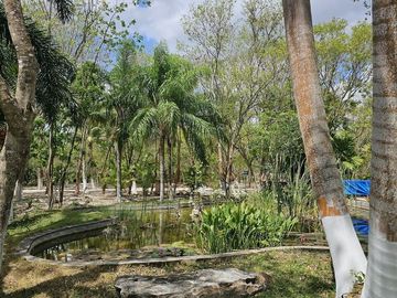 place photo 38
