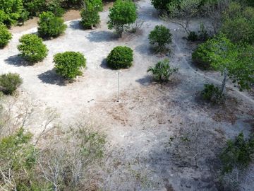 place photo 48